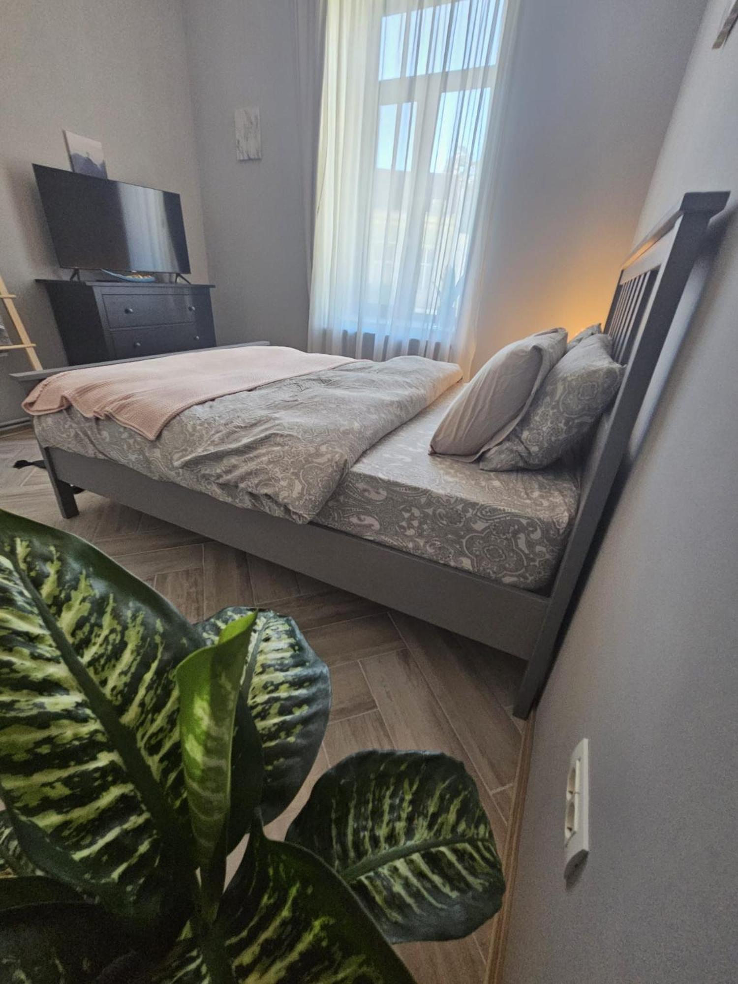 Zig Zag Apartment 4- Old Town Constanta Ngoại thất bức ảnh